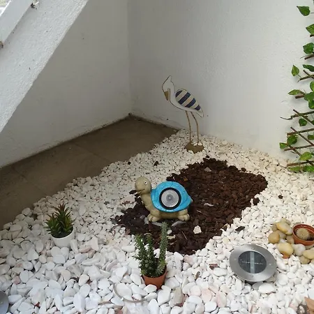 Apartman Belem Sunny Apt